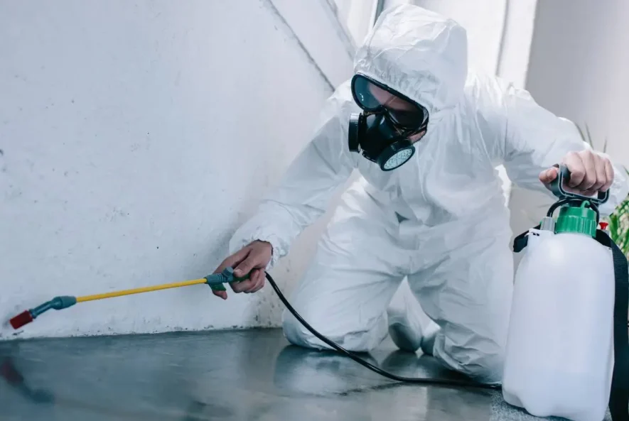 pest control services